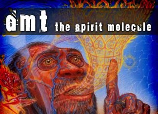 DMT The Spirit Molecule DMT The Spirit Molecule