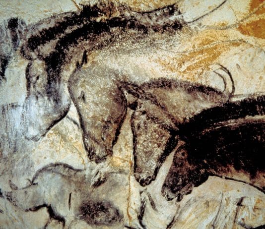 THE ORIGIN OF CONSCIOUSNESS Horses at Lascaux Cave