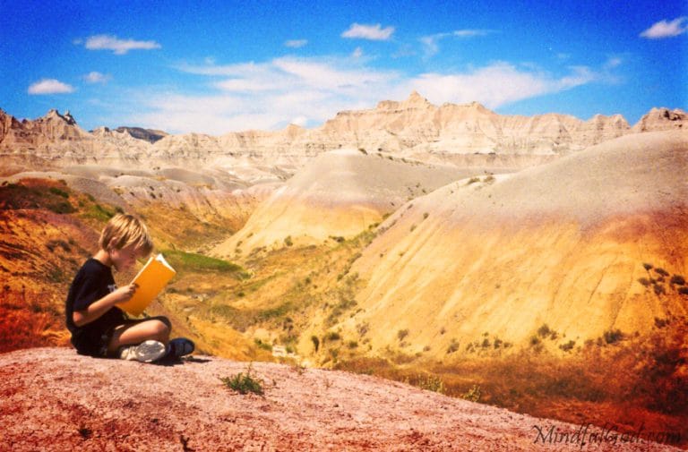 The Traveler In The Night Poem