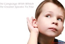 Hello – The Language With Which The Creator Speaks To You The Language With Which The Creator Speaks To You